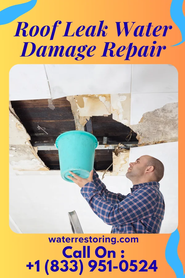Roof Leak Water Damage Repair in Crossnore, NC