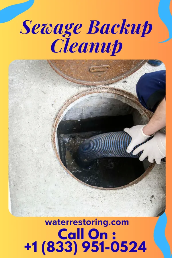 Sewage Backup Cleanup in Crossnore, NC